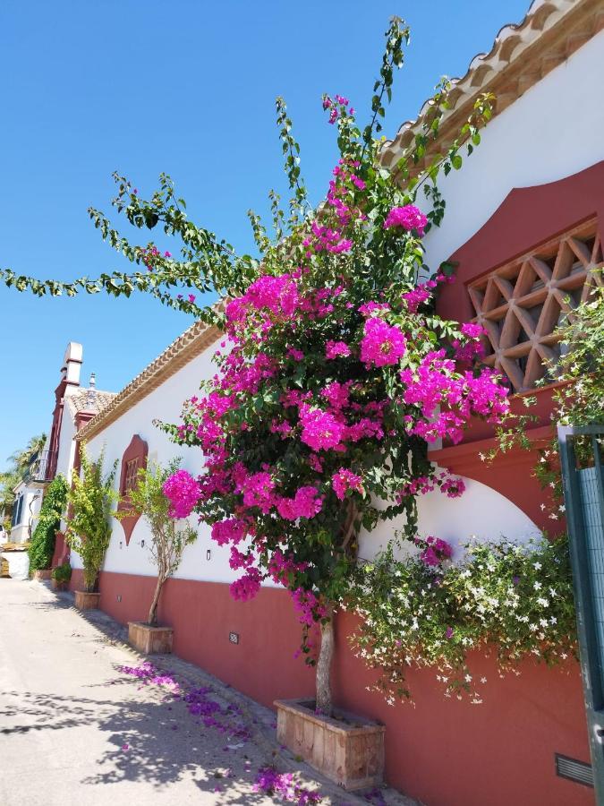 Finca El Altabacar - Casa Rural - Playa Fuengirola Εξωτερικό φωτογραφία
